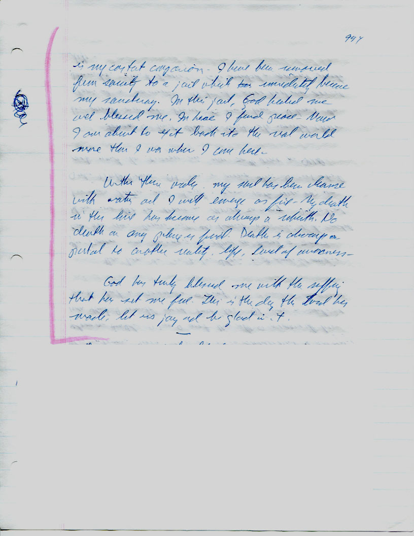 Dr John WorldPeace 2008 Prison Journal